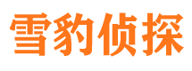 临河外遇出轨调查取证